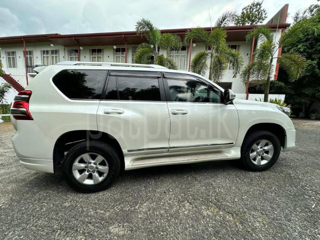 Advertisement image 7