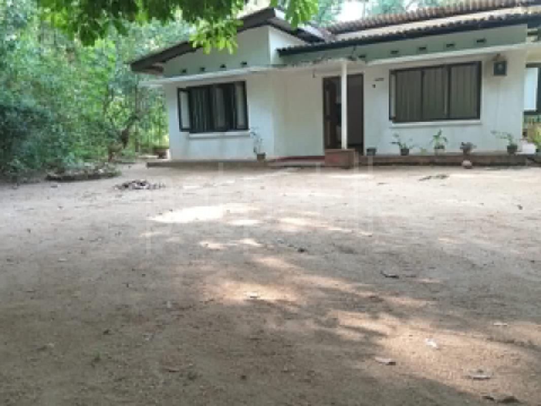 House for Rent in Pilimatalawa ads-image-1