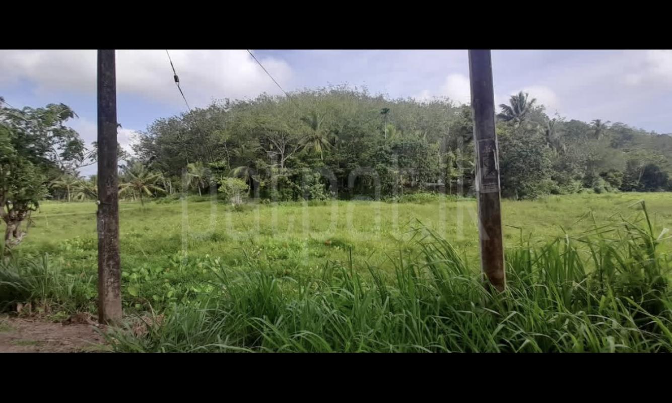 Agricultural Land for Sale in Wanchawela ads-image-1