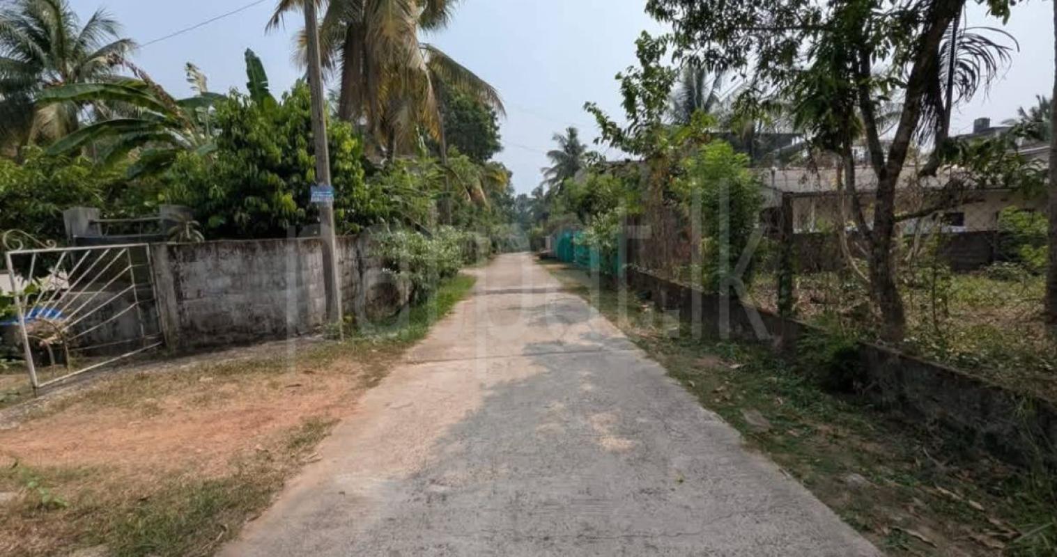 Commercial Land for Sale in Gampaha