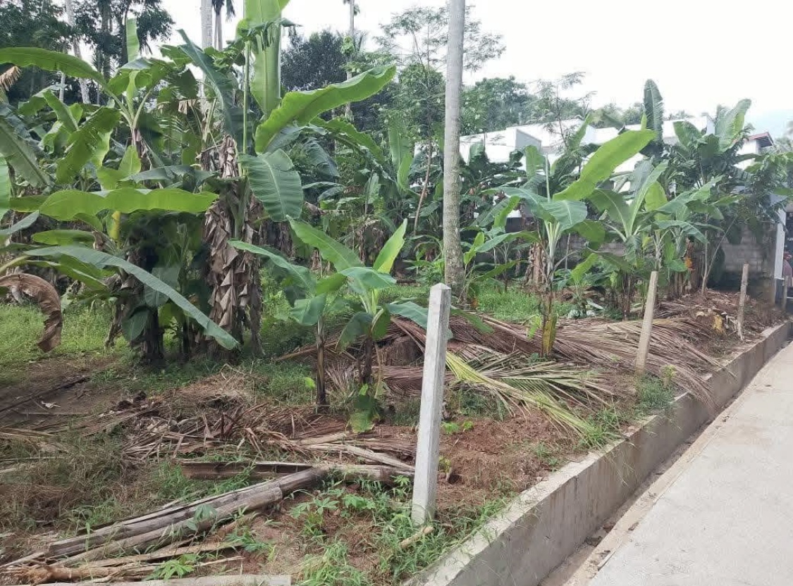 Commercial Land for Sale in Kundasale