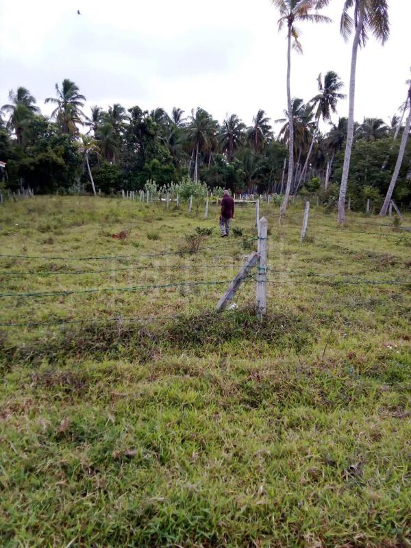 Residential Land for Sale in Chilaw