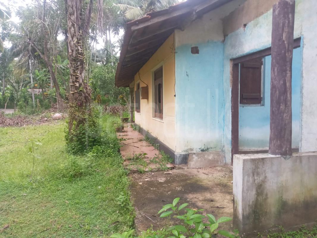 Agricultural Land for Sale in Wariyapola