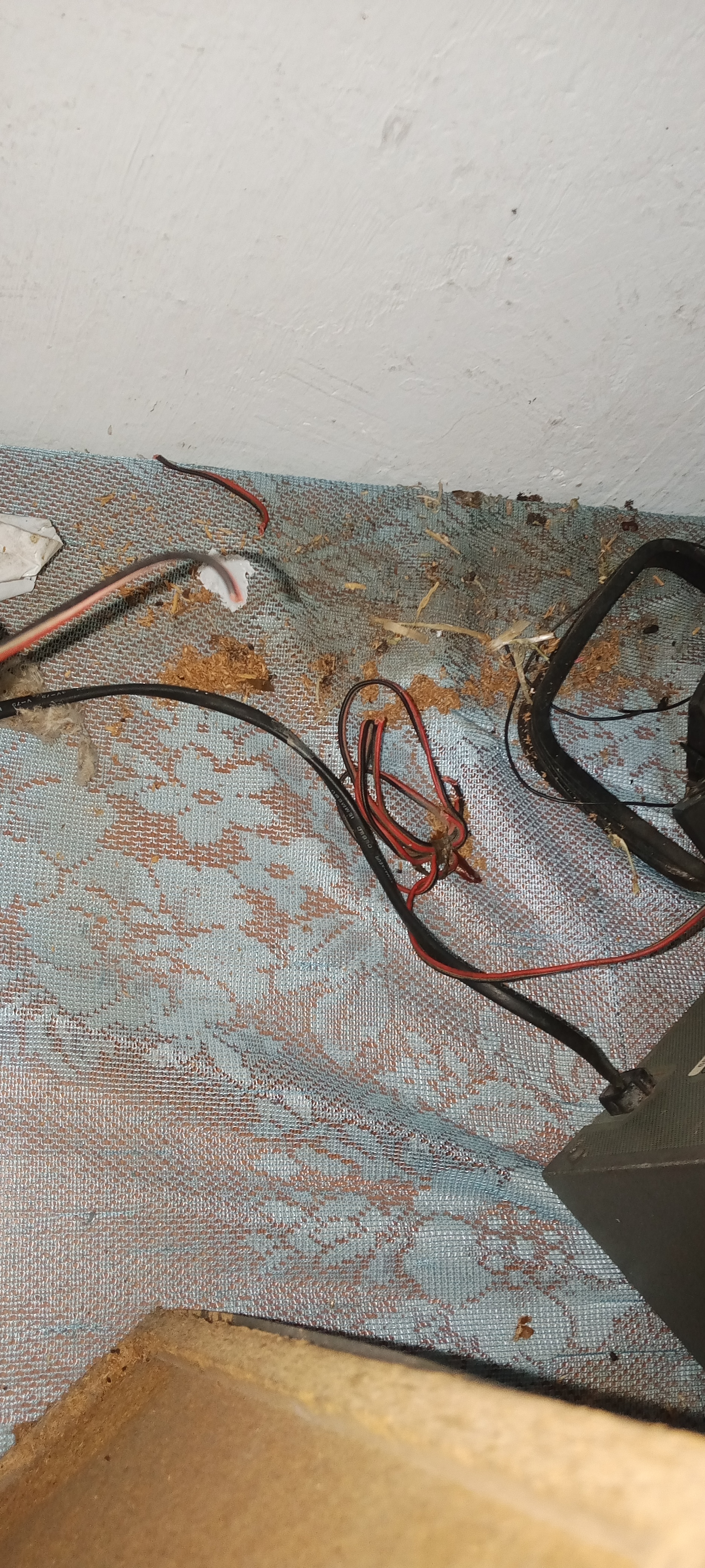 Immediate Sale – JVC VCD Player Setup for Sale – LKR 7,000