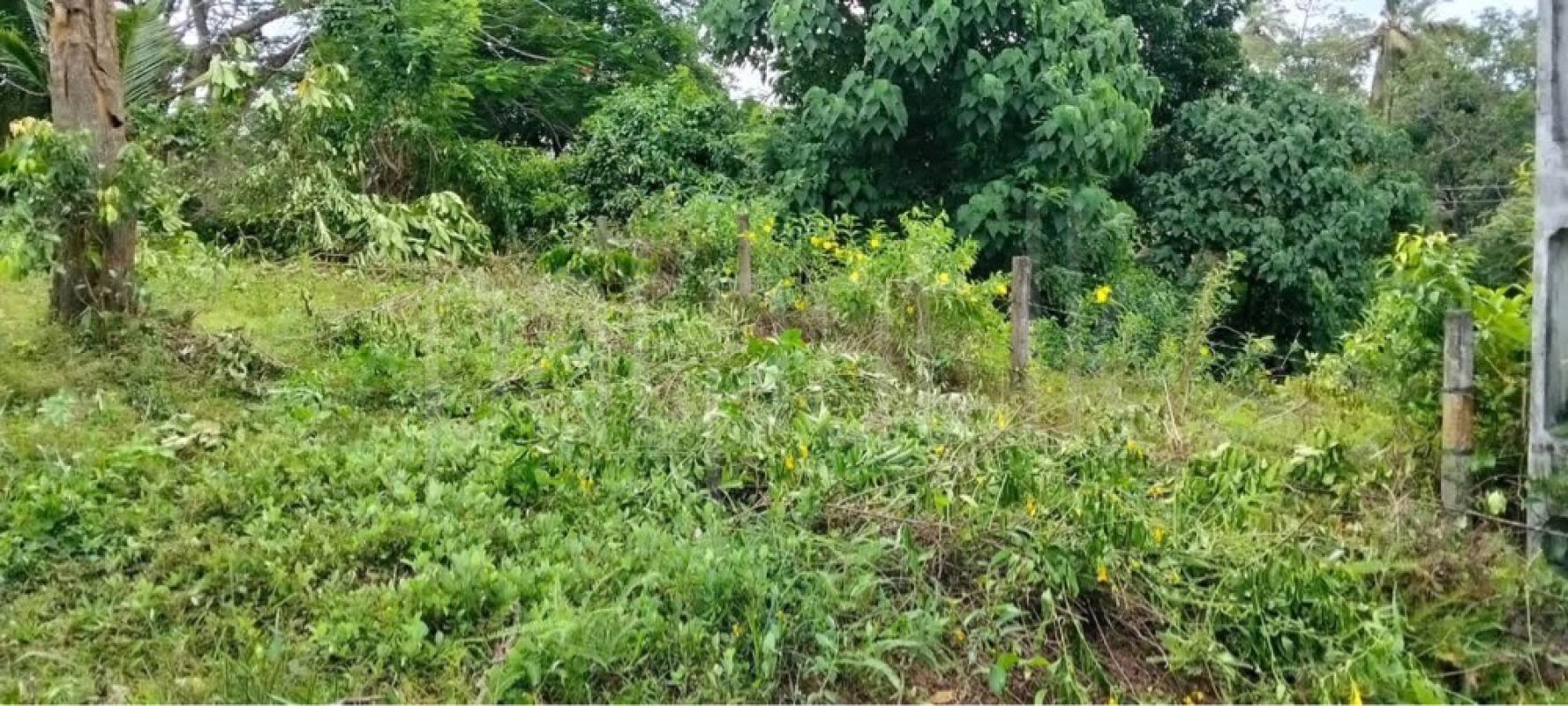 Residential Land for Sale in Galle