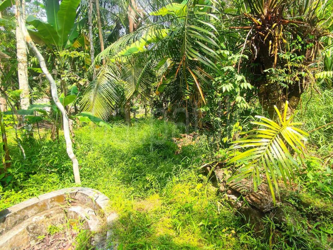 Commercial Land for Sale in Athurugiriya