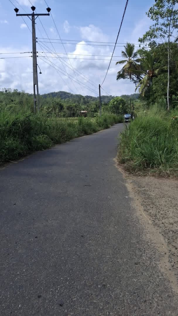 Agricultural Land for Sale in Galle