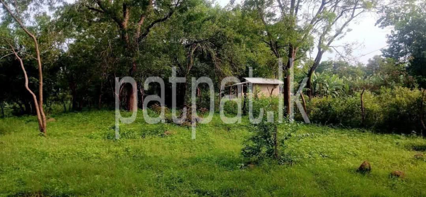 Residential Land for Sale in Kataragama