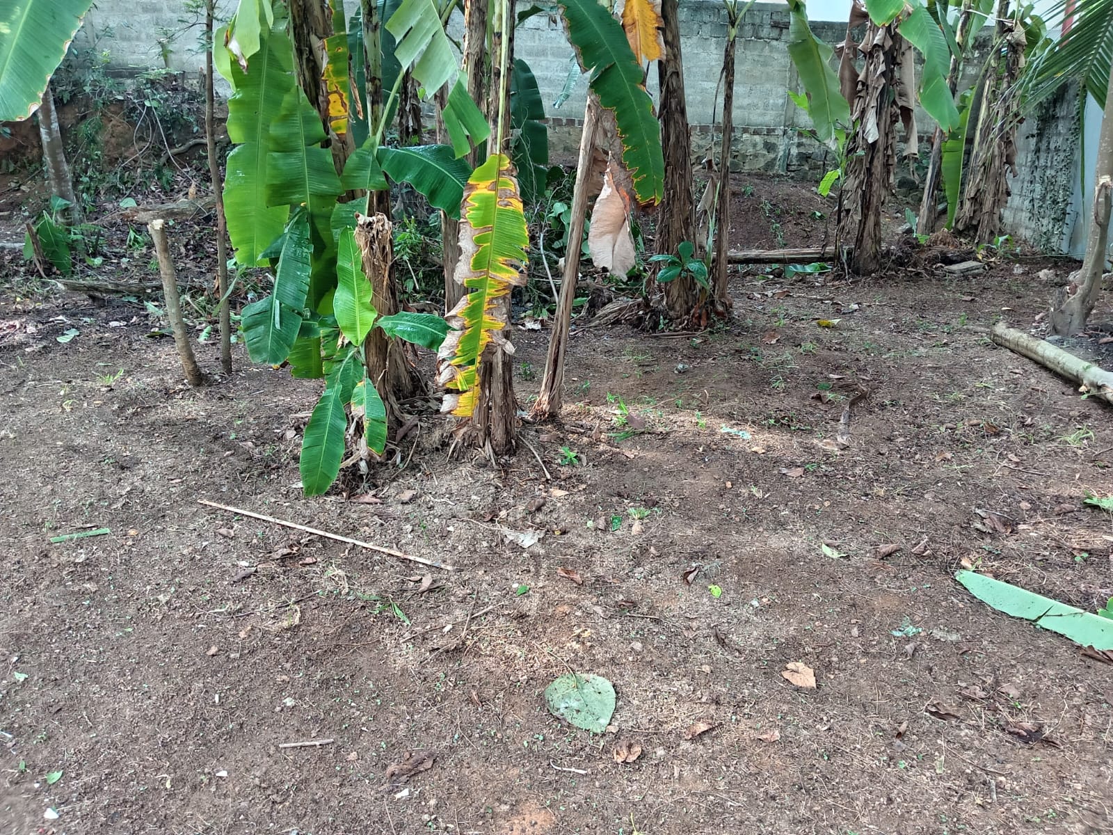 Residential Land for Sale in Ragama