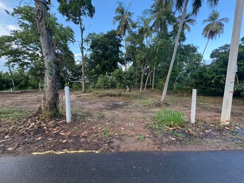 Residential Land for Sale in Wattala