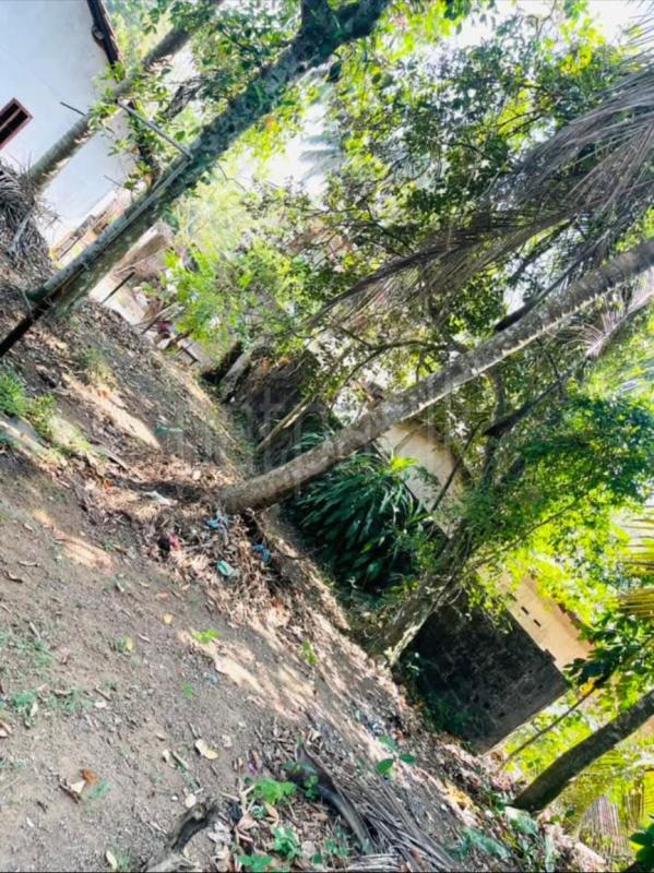 Residential Land for Sale in Kirillawala ads-image-1