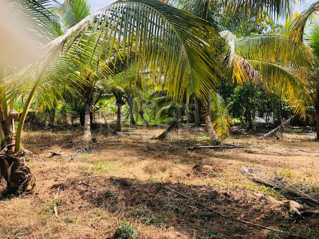 House for Sale in Nikaweratiya