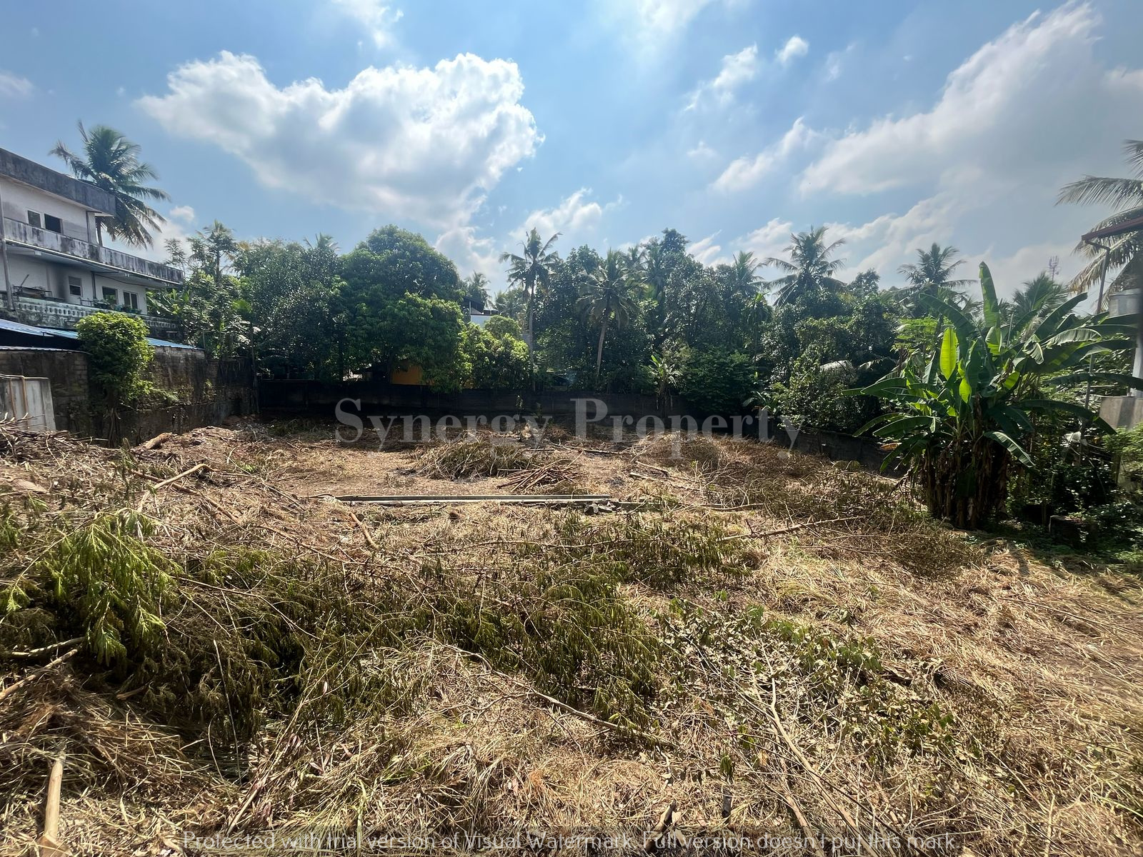 Advertisement image 5