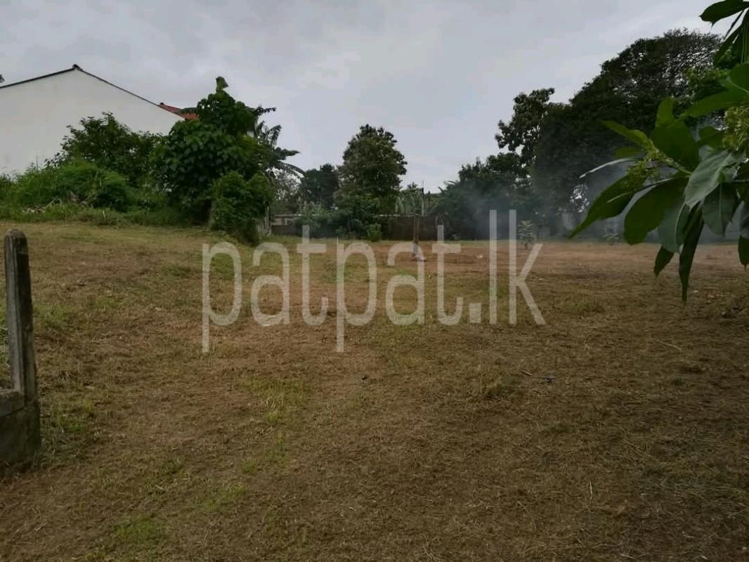 Residential Land for Sale in Padukka ads-image-1