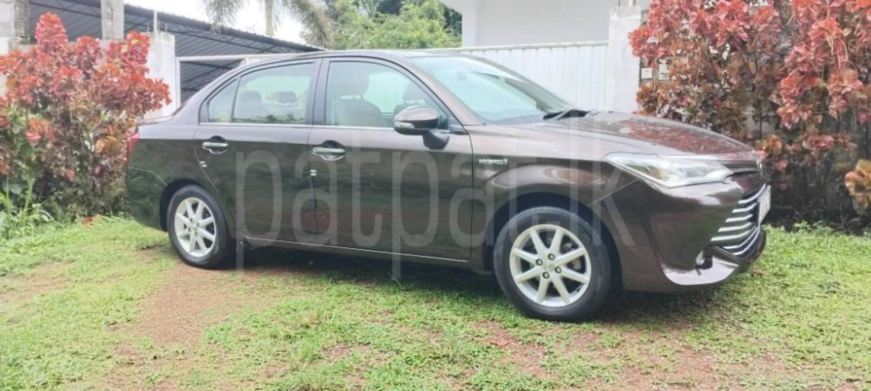 Advertisement image 2