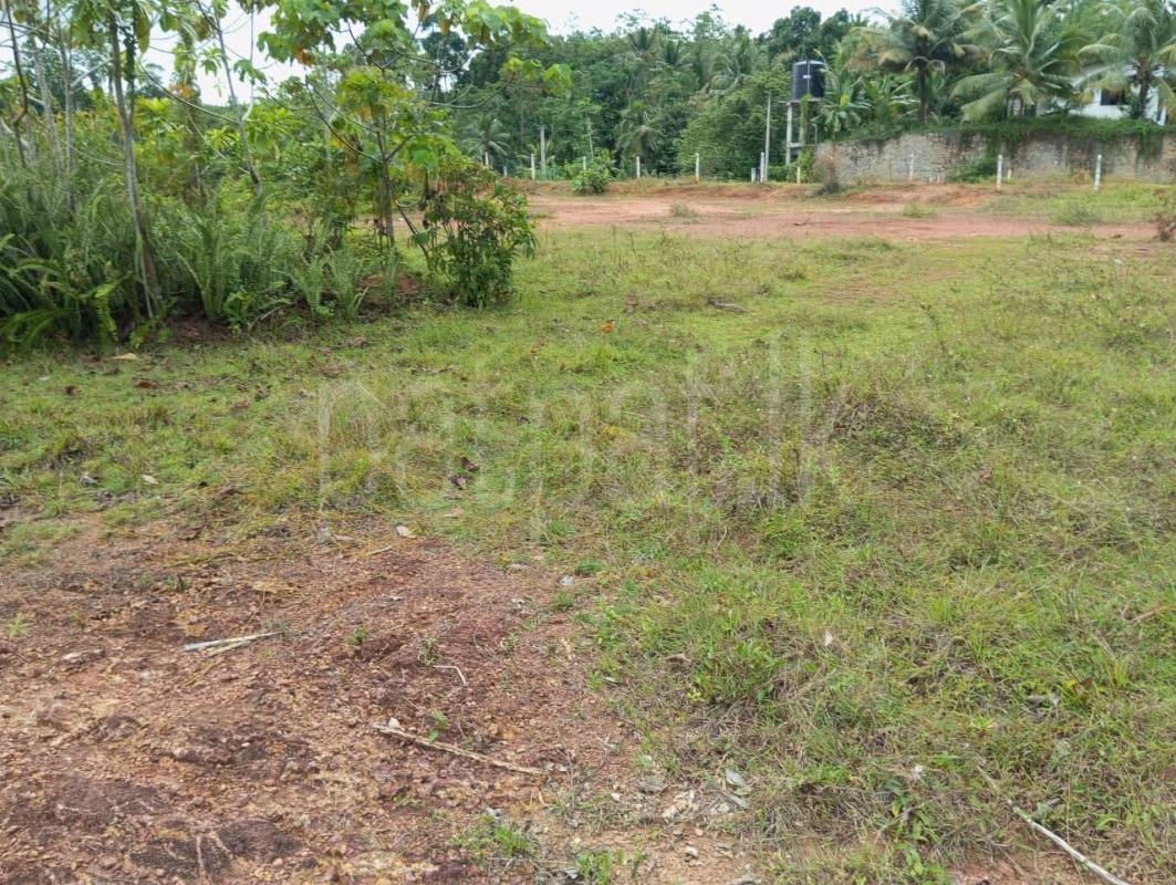 Commercial Land for Sale in Horana ads-image-1