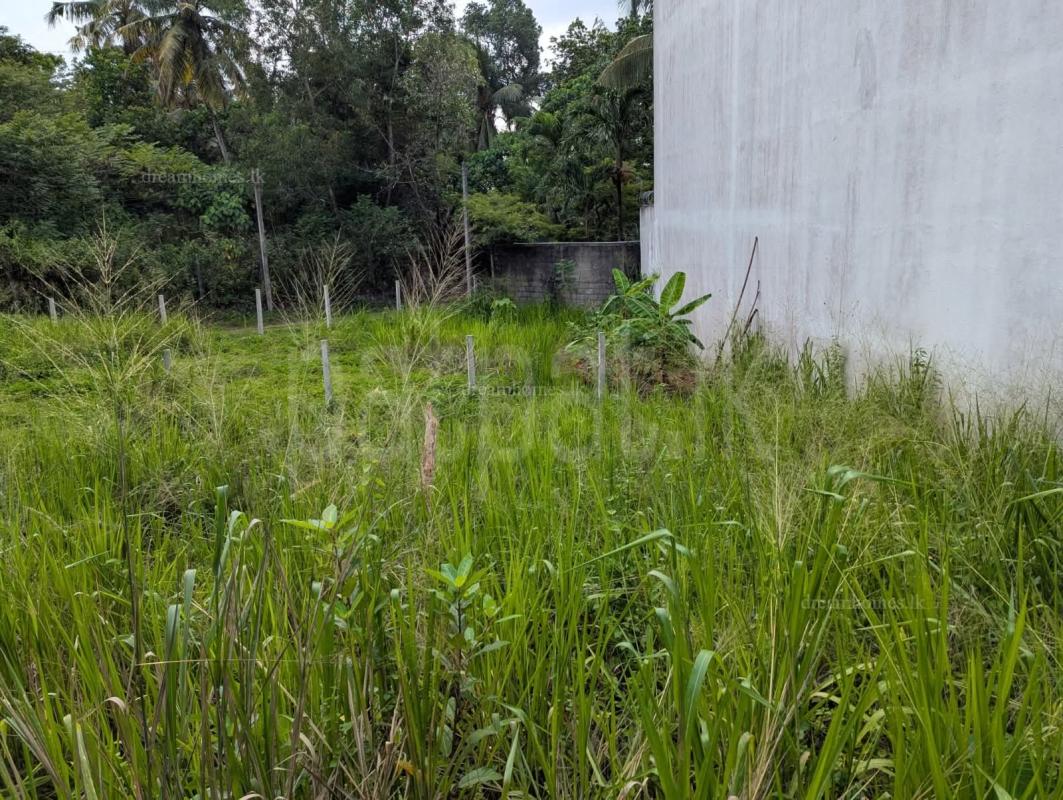 Residential Land for Sale in Talawatugoda