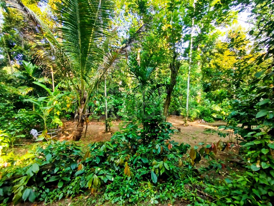 Residential Land for Sale in Menikhinna