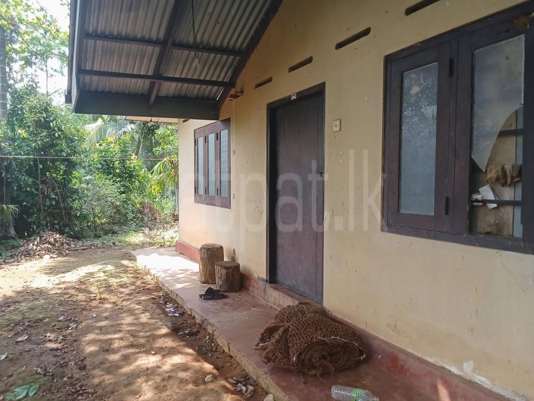 Agricultural Land for Sale in Deniyaya