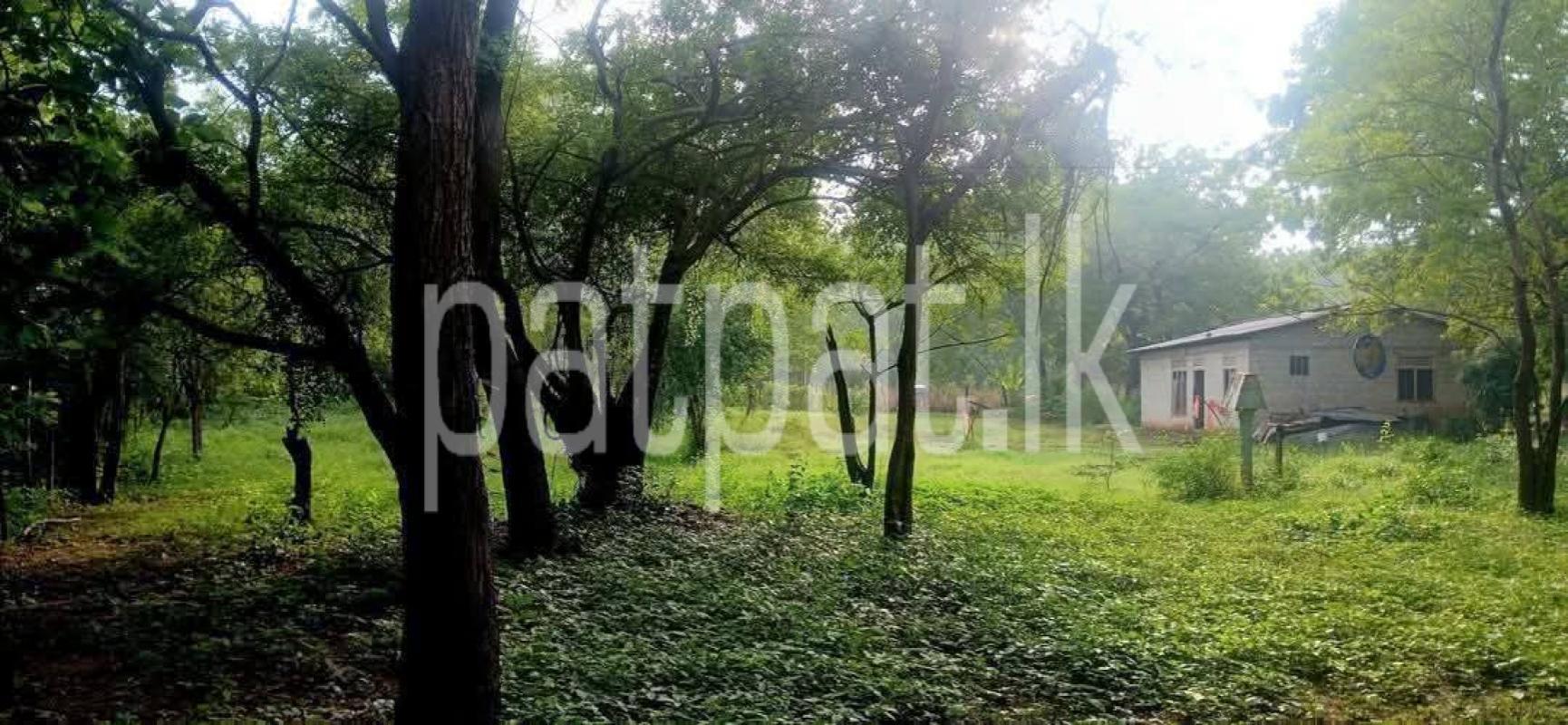 Residential Land for Sale in Kataragama
