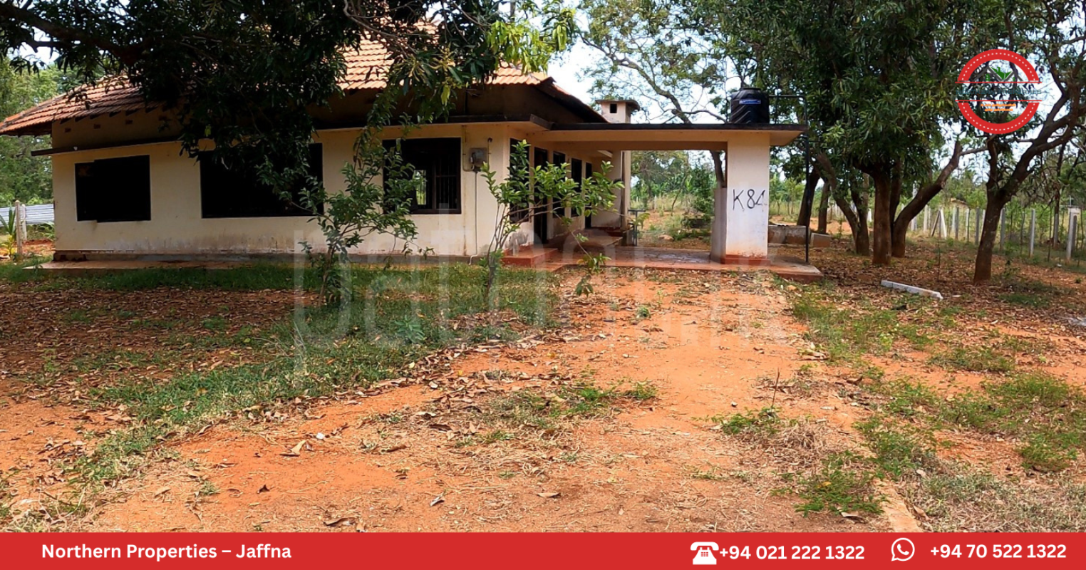 Residential Land for Sale in Kankesanthurai