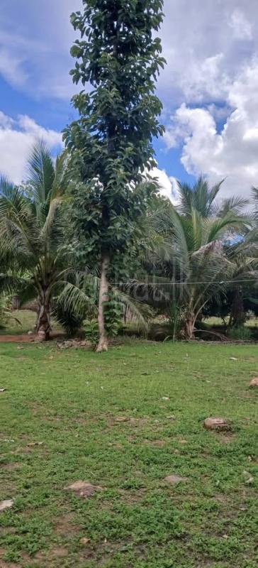 Residential Land for Sale in Kataragama