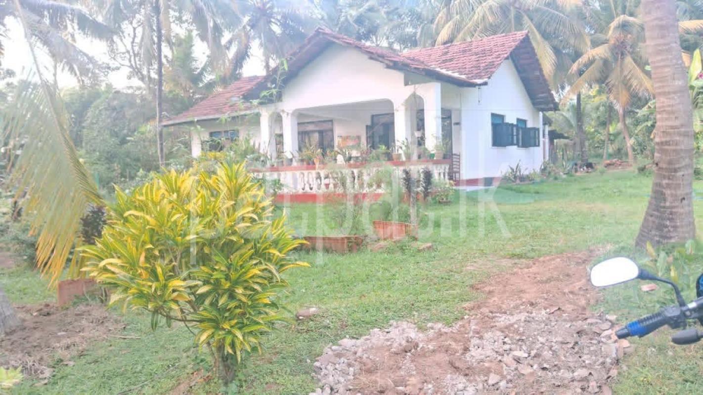 House for Sale in Kurunegala ads-image-1