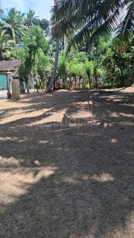 Commercial Land for Sale in Panadura