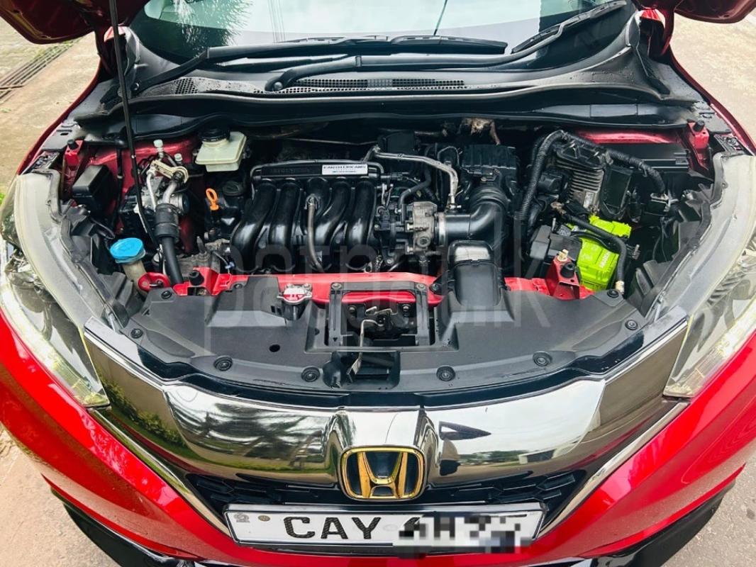 Advertisement image 6