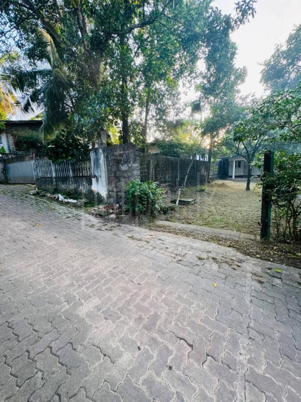 Commercial Land for Sale in Rajagiriya
