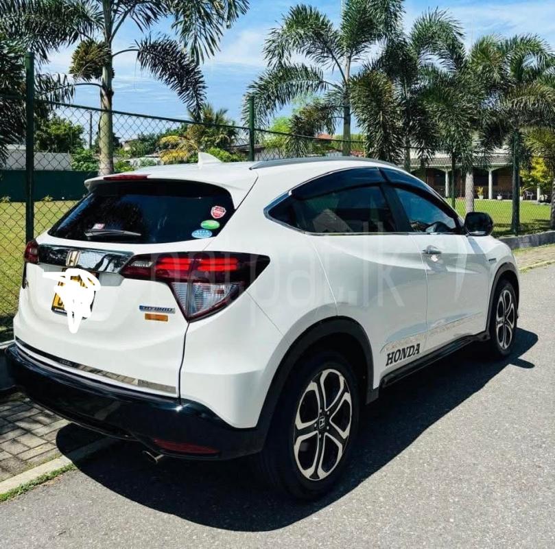 Advertisement image 5