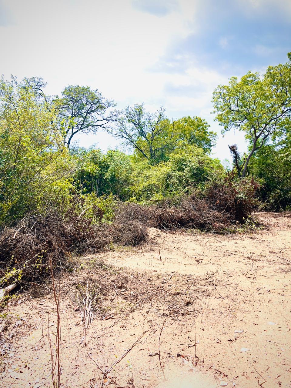 Residential Land for Sale in Dehiwala