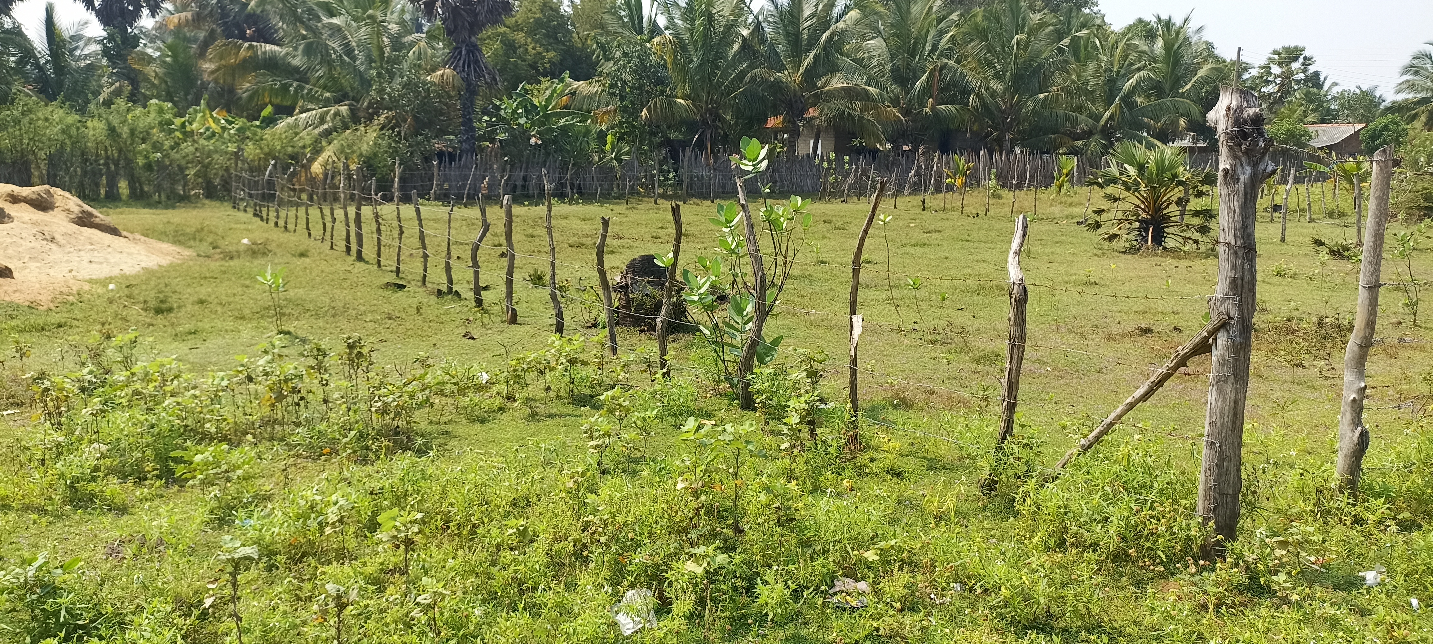Residential Land for Sale in Puttalam