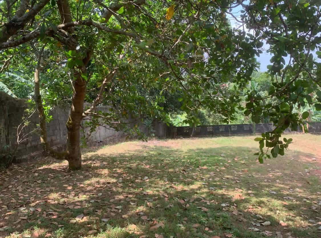 Residential Land for Sale in Homagama