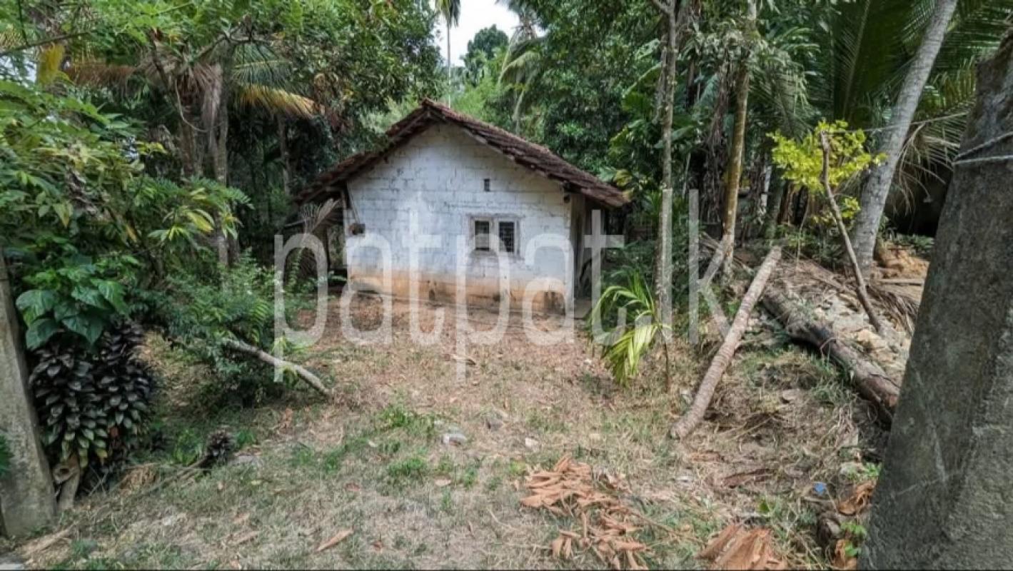 Residential Land for Sale in Veyangoda ads-image-1