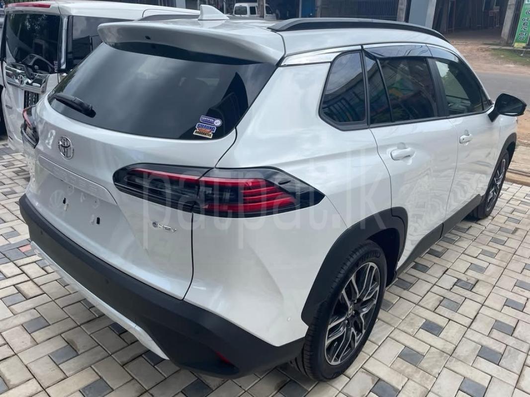 Advertisement image 2