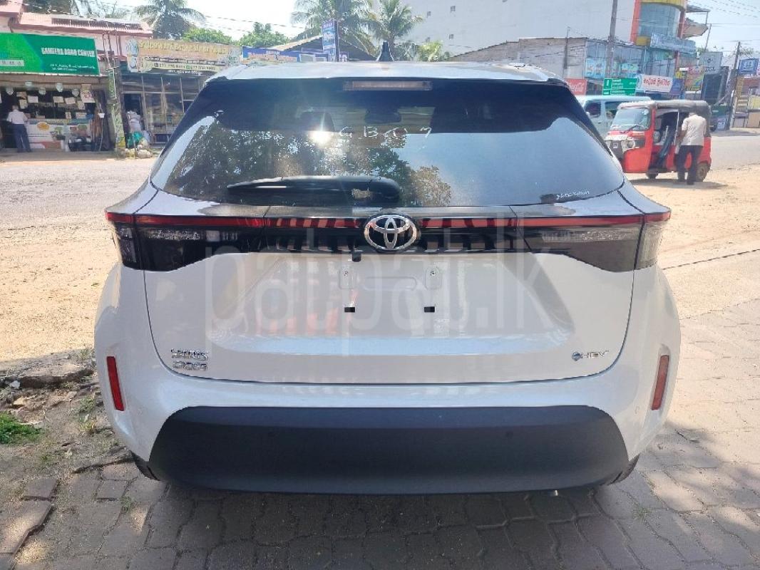 Advertisement image 5