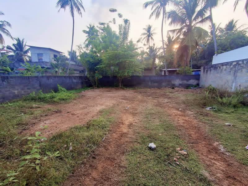 Agricultural Land for Sale in Panadura