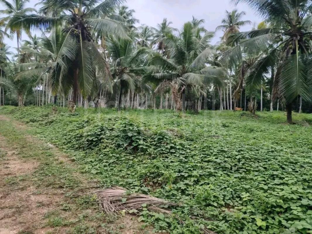 Agricultural Land for Sale in Kandy