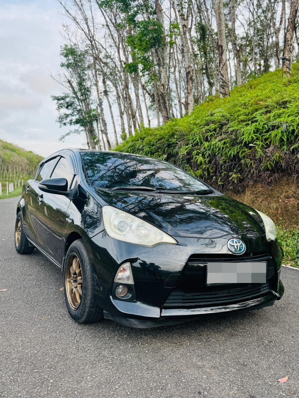 Advertisement image 3