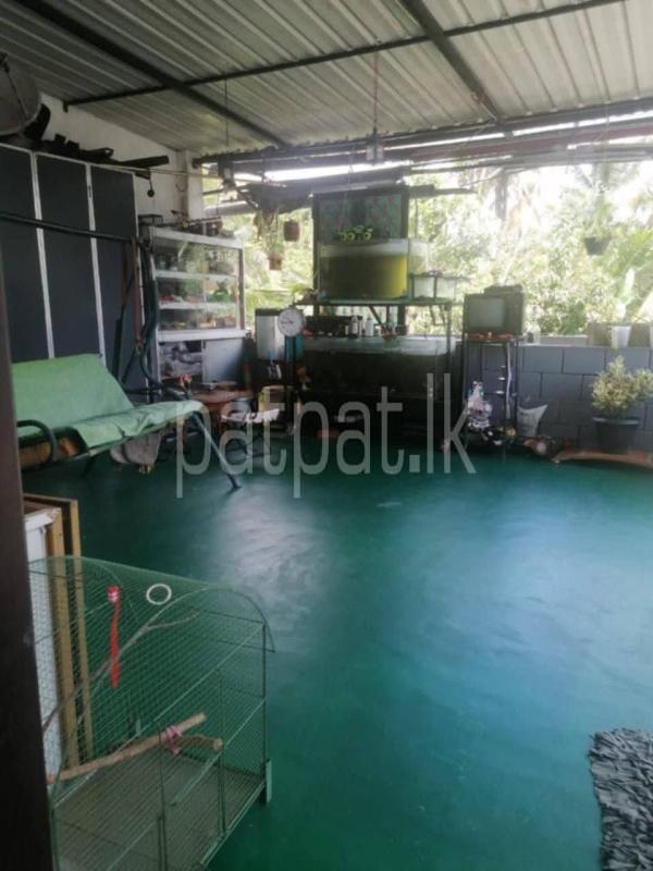 Advertisement image 3