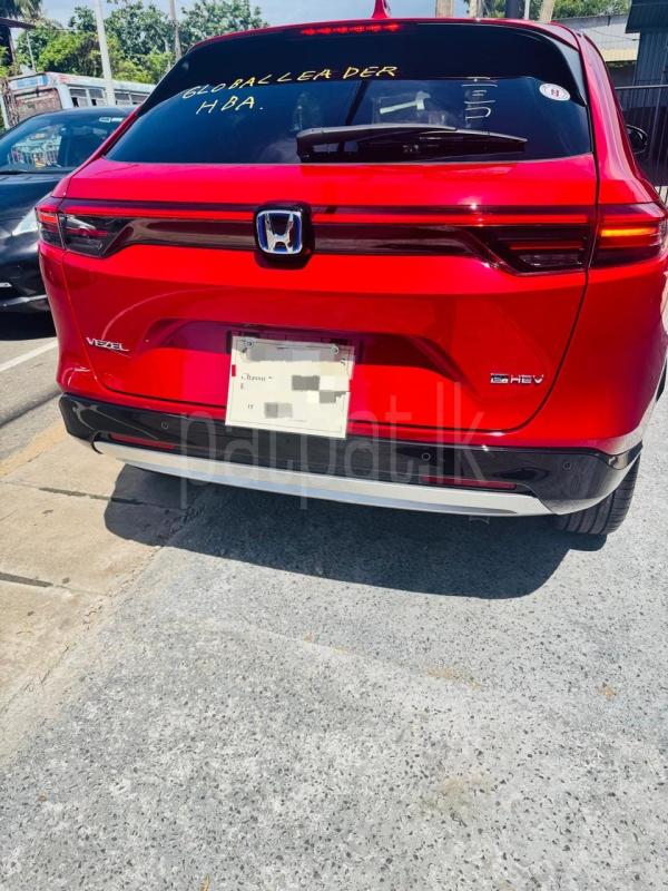 Advertisement image 3