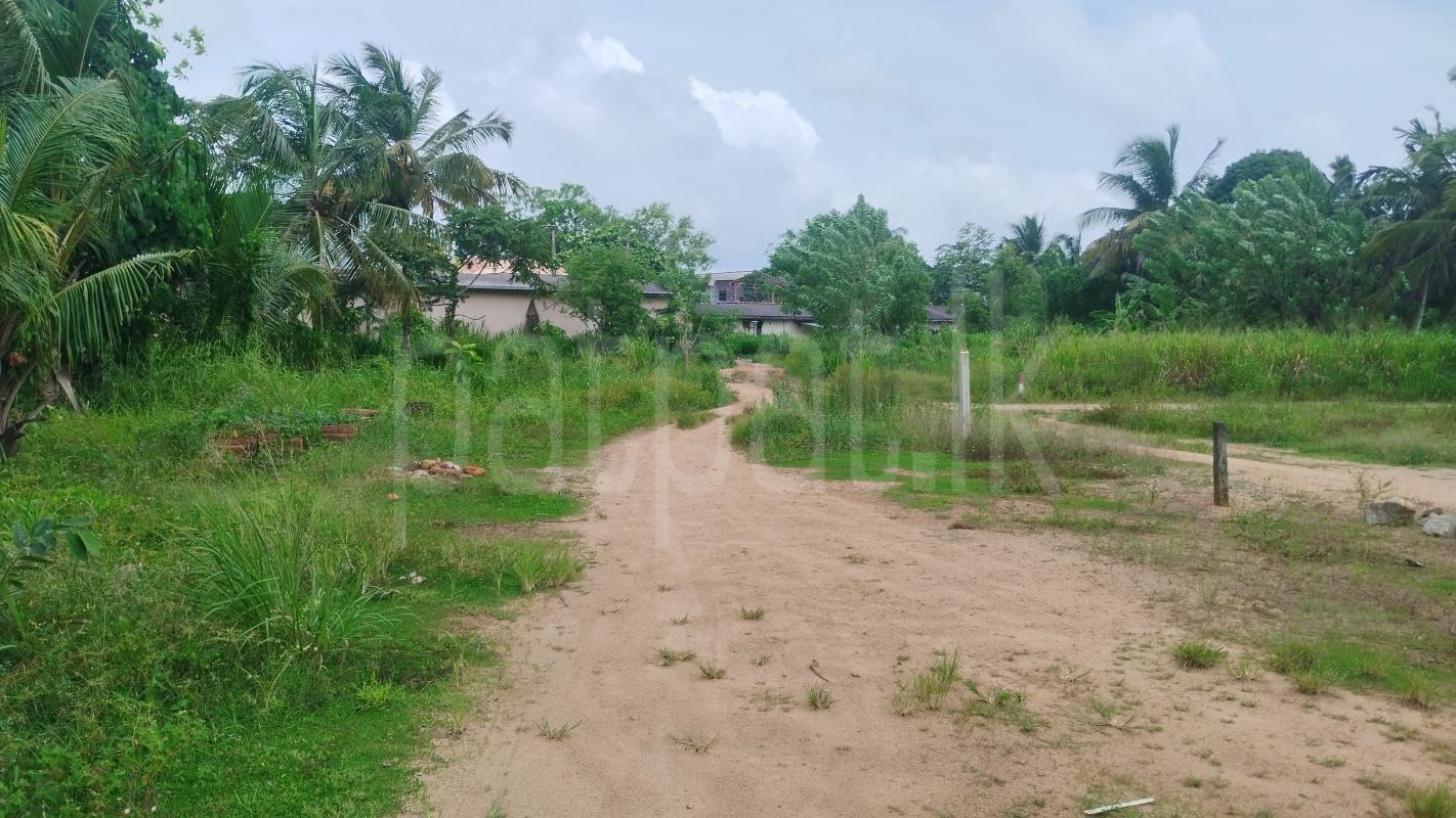 Commercial Land for Sale in Karandeniya