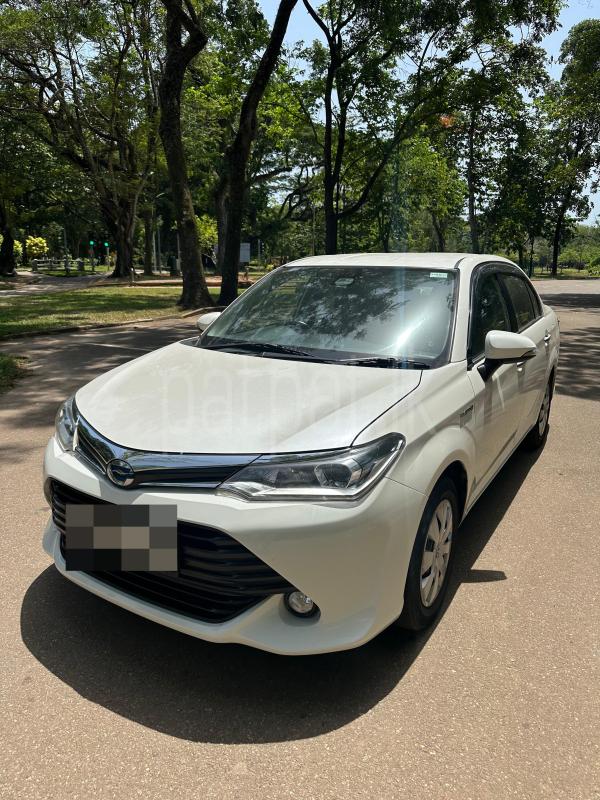 Advertisement image 2