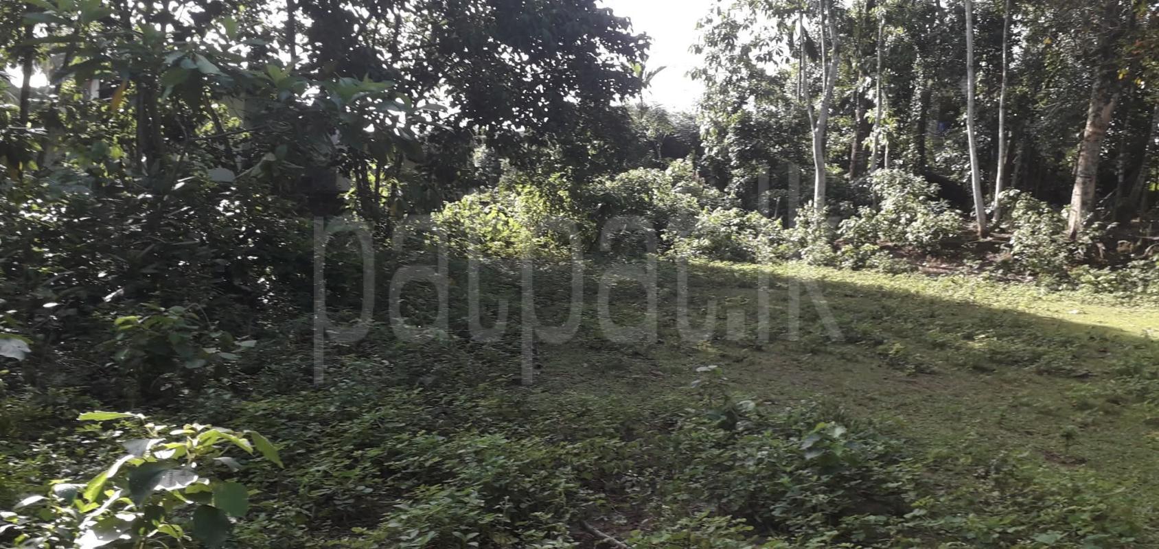 Commercial Land for Sale in Homagama