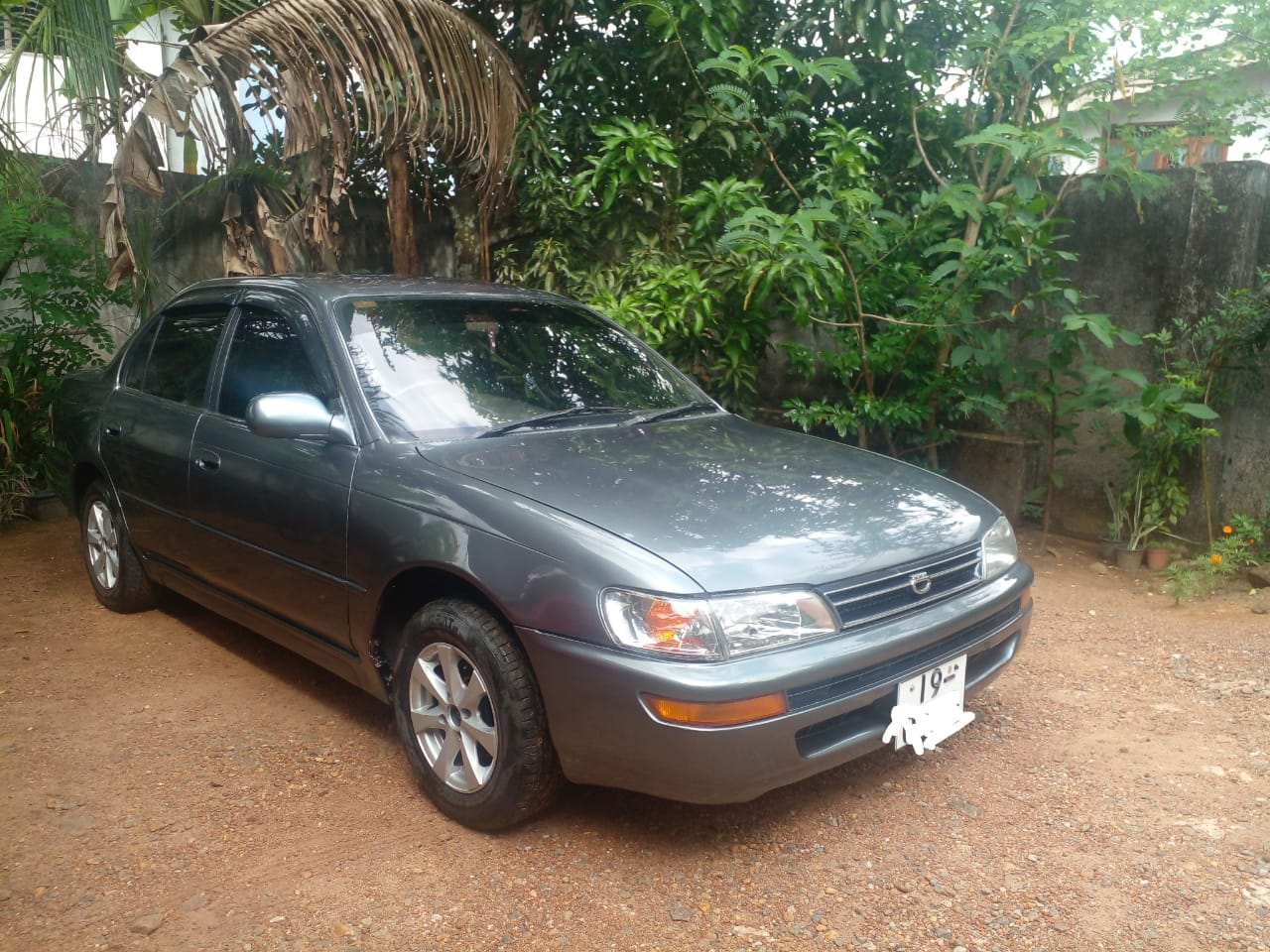 Toyota Corolla 1994 - Used Car sale in Sri Lanka - patpat.lk