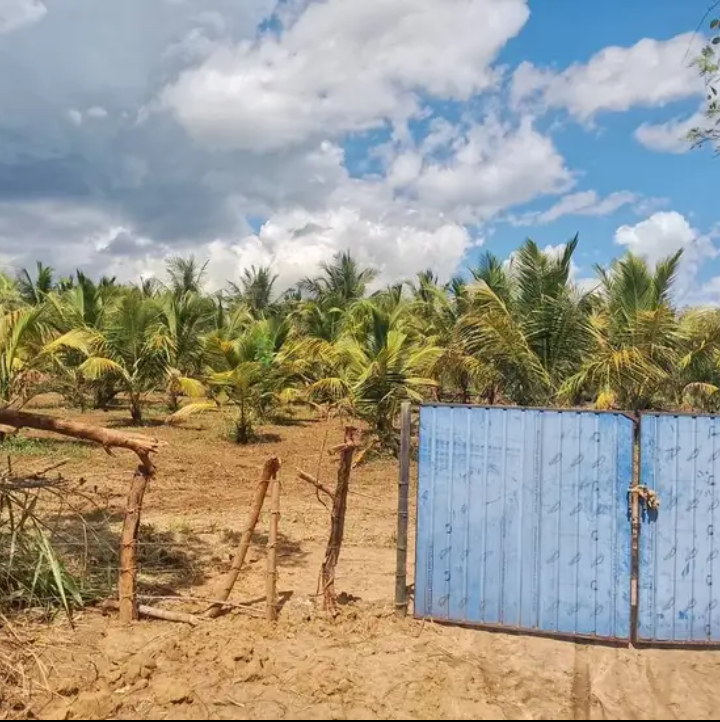 Agricultural Land for Sale in Embilipitiya