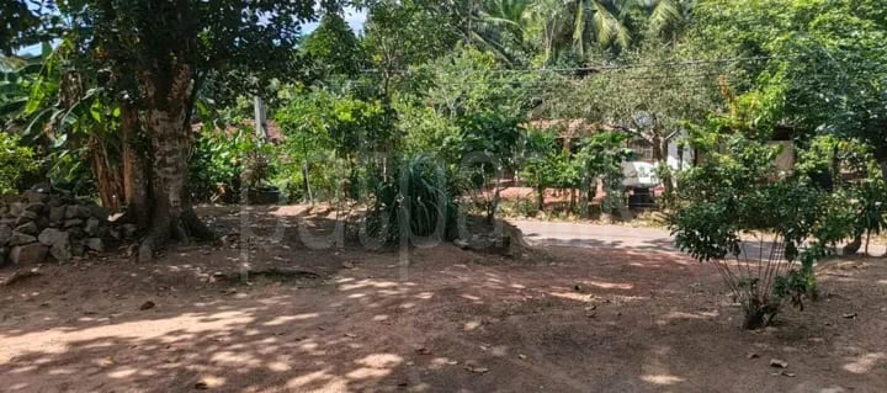 Commercial Land for Sale in Yakkala ads-image-1