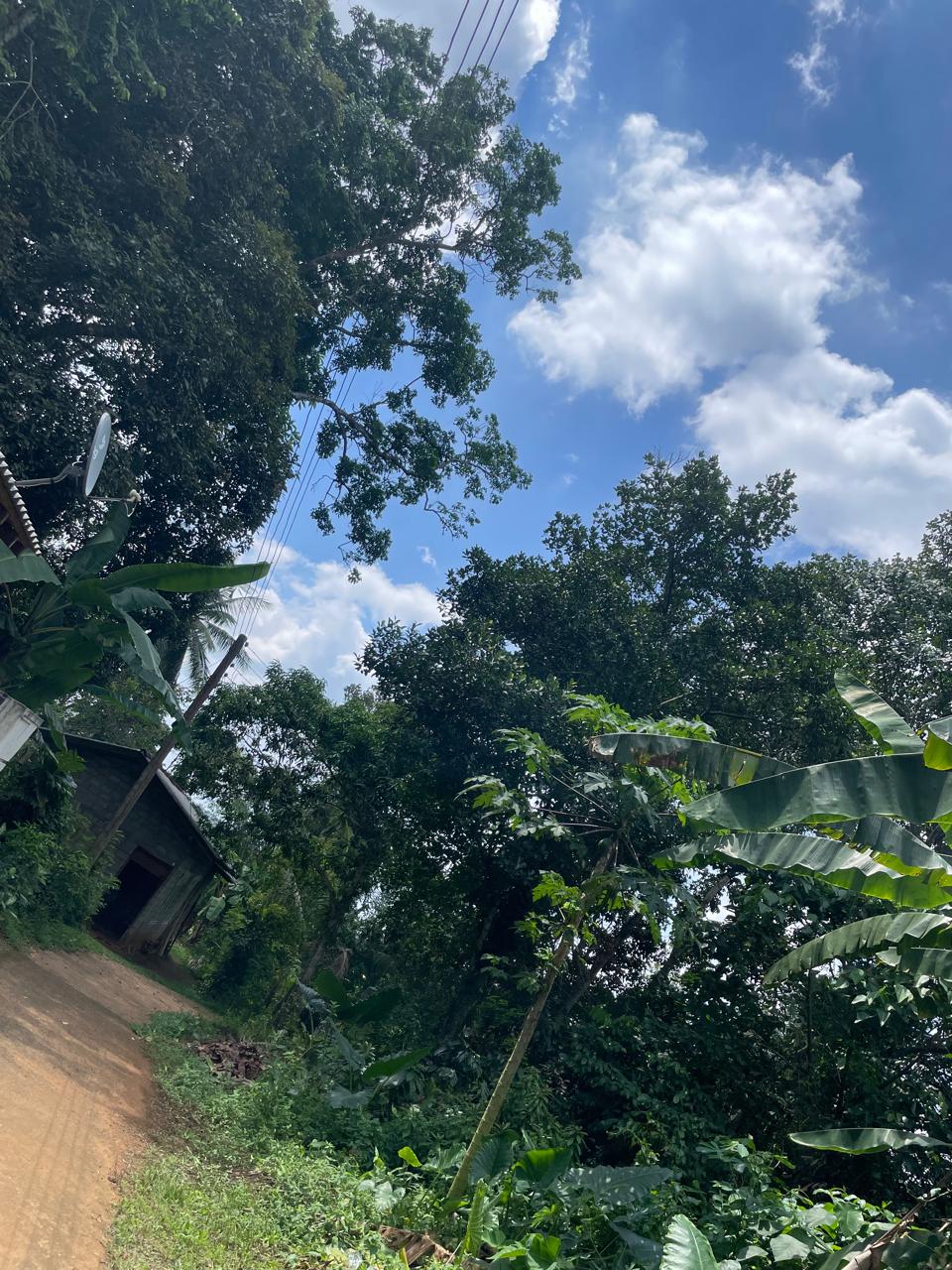 Agricultural Land for Sale in Yatiyana