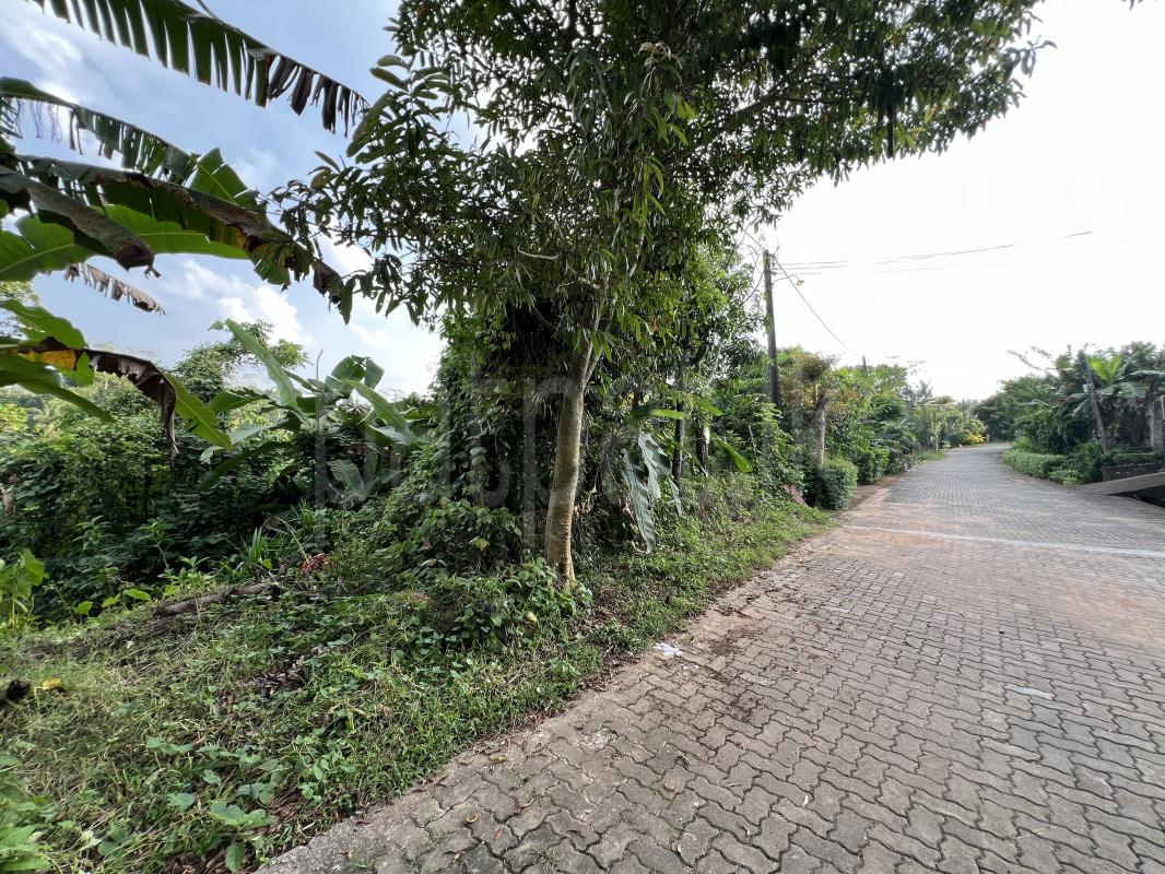 Residential Land for Sale in Dodangoda ads-image-1